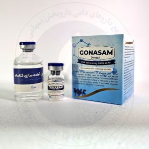 گناسام